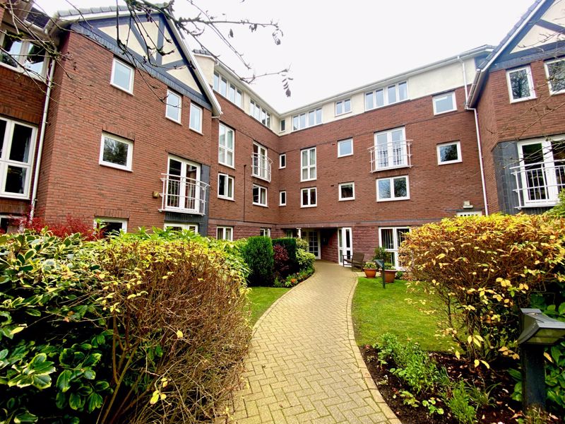 Main Image